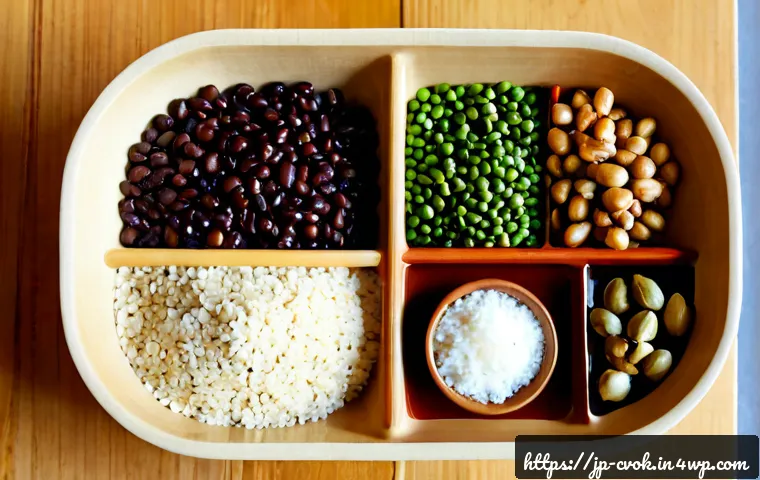 대체 단백질 요리를 위한 필수 재료 리스트 - Photorealistic overhead flat lay of essential alternative protein cooking ingredients arranged neatl...